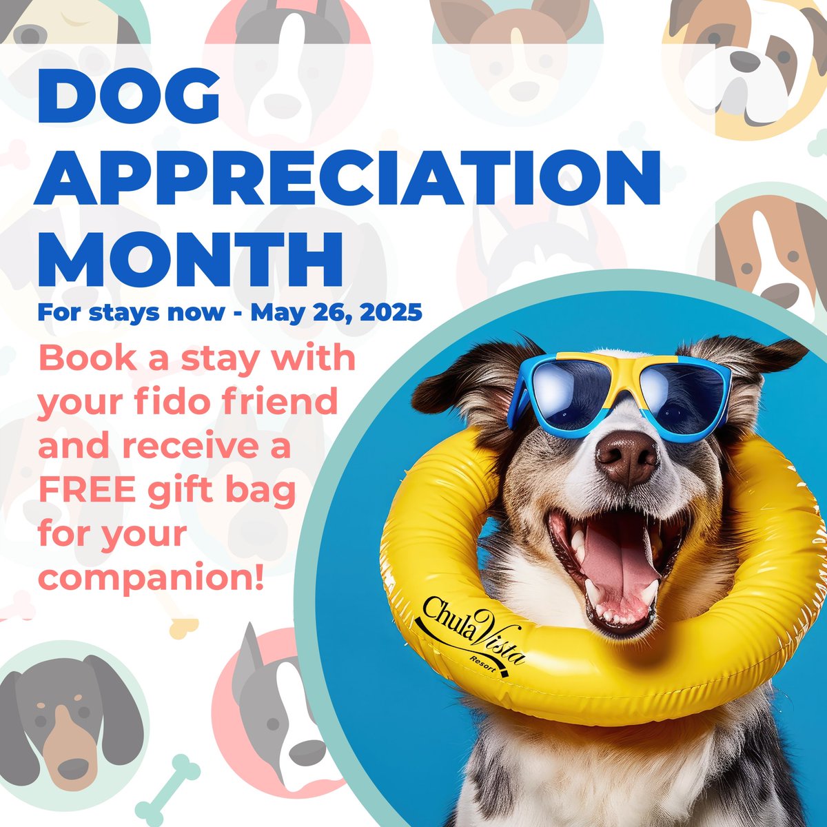 Chula Vista Resort is now the only pup-friendly waterpark resort in Wisconsin Dells! We know your dog is an important part of your family, which is why we now accept dogs of all breeds with our Fido Friendly Package!

To learn more, visit: bit.ly/4amnp7C