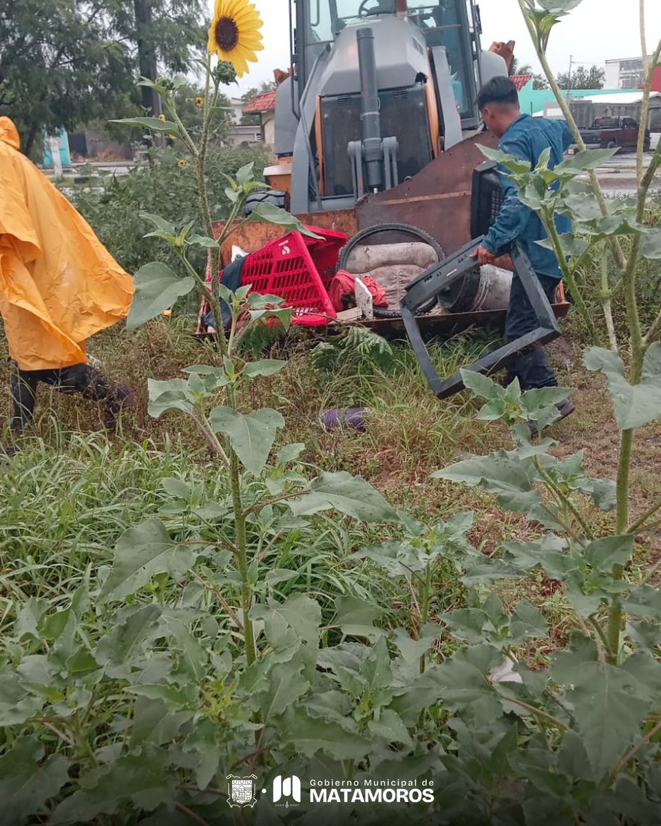 MatamorosGobMx's tweet photo. 🚧 Nuestras cuadrillas de la Secretaría de Desarrollo Urbano y Ecología están trabajando en la limpieza de rejillas y drenes para prevenir encharcamientos e inundaciones.

Seguimos solicitando a las y los #matamorenses que eviten tirar basura en nuestras calles.
@Betogranadosmx https://t.co/1nbFgsw2nc