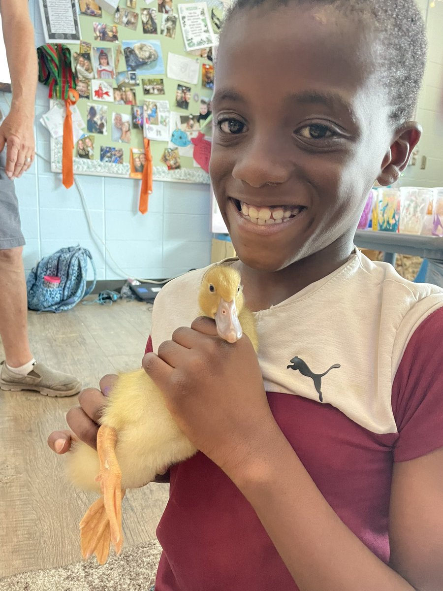 GraceLearning's tweet image. 🎨Culture inspired murals! ✅ 🐥Ducklings! ✅  😃Super fun day! ✅ @NatcherElem