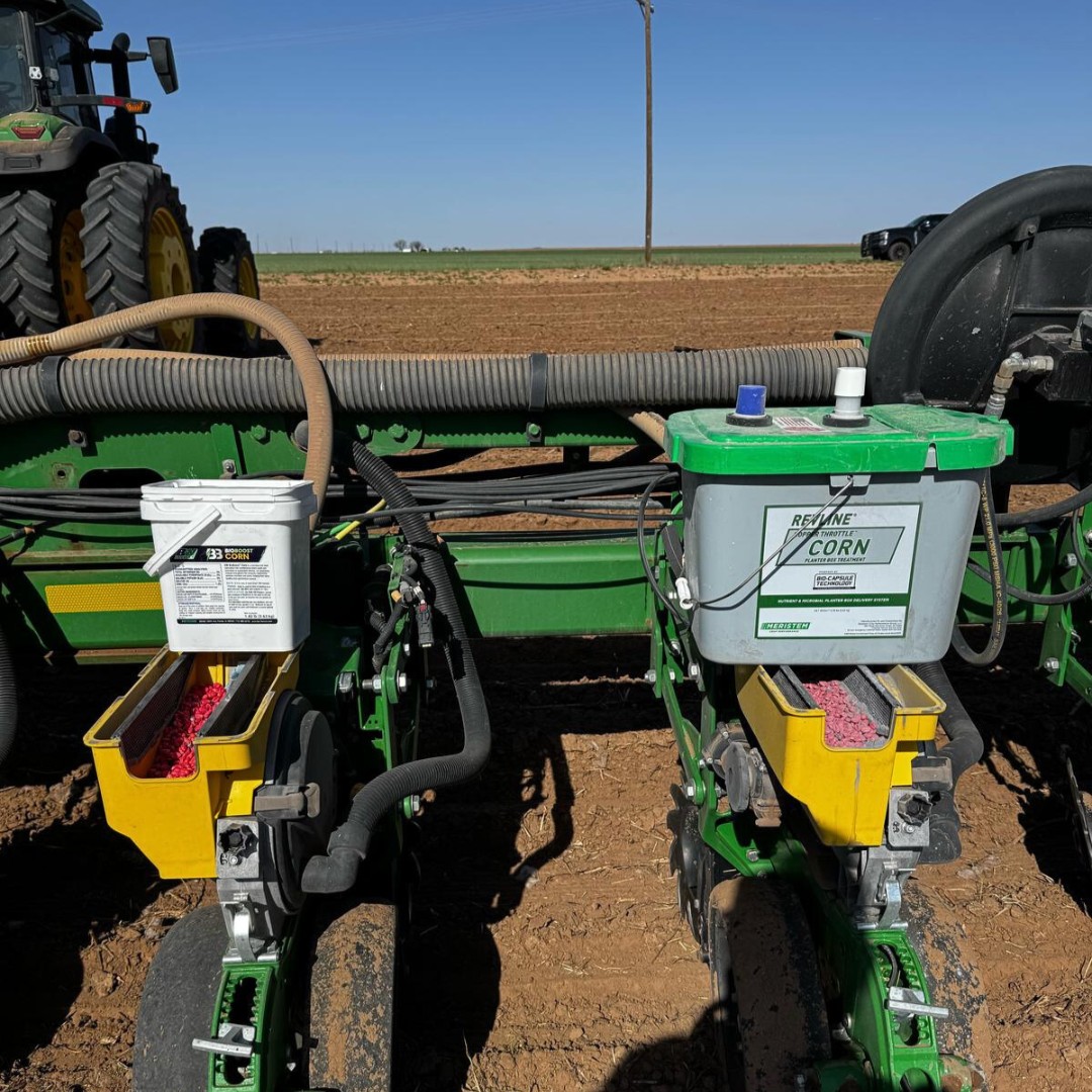 BW Fusion tweet media