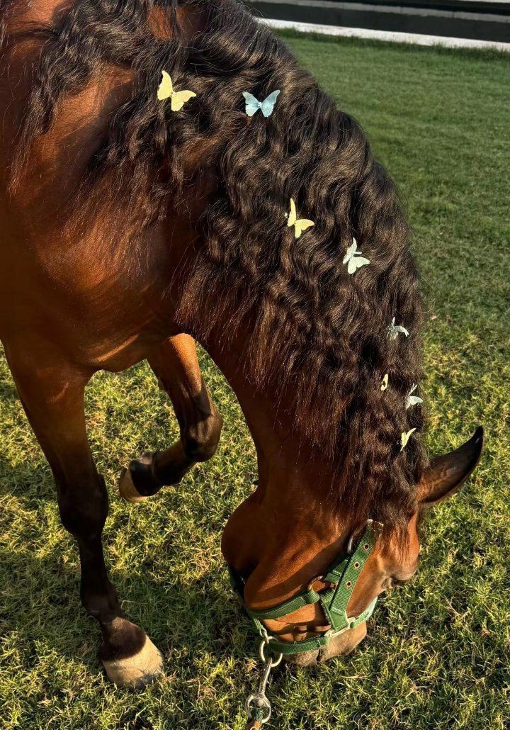 𐙚 (@fashioonablee) on Twitter photo 