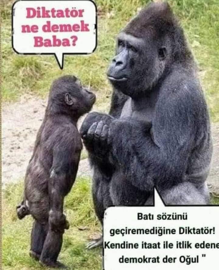 Cihangir Atayurdu (@catayurdu) on Twitter photo 