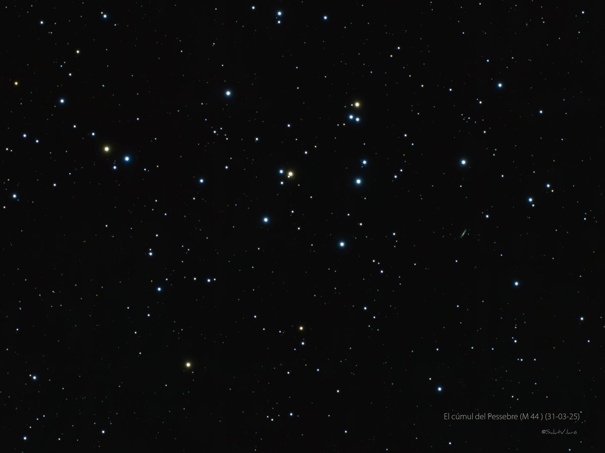 salutvilaro's tweet photo. El cúmul del Pessebre. Cúmul obert a 577,3 anys llum. #m44 #messier44 #CúmulObert #cranc #astrofotografia #astrophotography
https://t.co/PzKfVZ7DK1 https://t.co/O1Eb8tQCZy