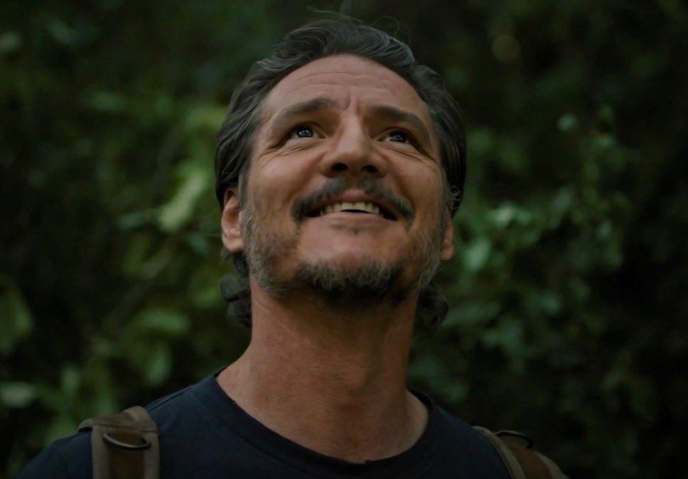 Ulan bu adamın dizilerde oynadığı her rolün ölümü benim için trajik oluyor, Game of Thrones'da öldüğünde de kaldıramamıştım.

#TheLastOfUs