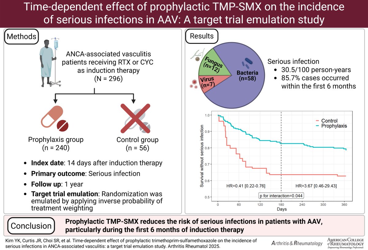 Multicenter cohort trial emulation tested TMP-SMX prophylaxis on incidence of serious infections in patients with ANCA-associated vasculitis. TMP-SMX reduced risk of serious infections, esp. during 1st 6 months of induction therapy with RTX or CYC

A&amp;R
doi.org/10.1002/art.43…