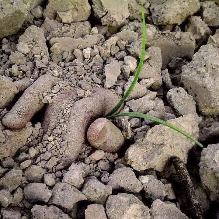 DNS (@dns1366879) on Twitter photo 