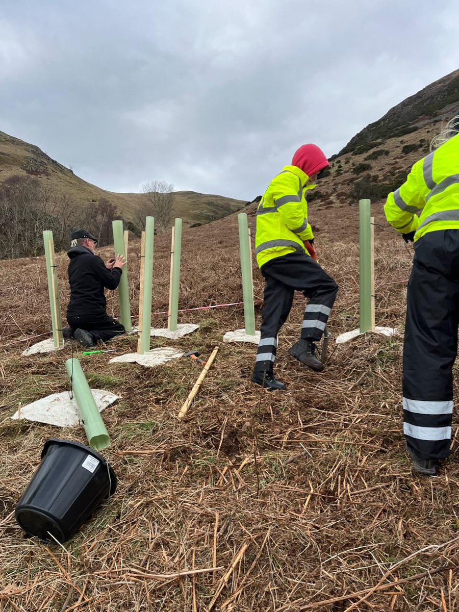 TCV Scotland tweet media