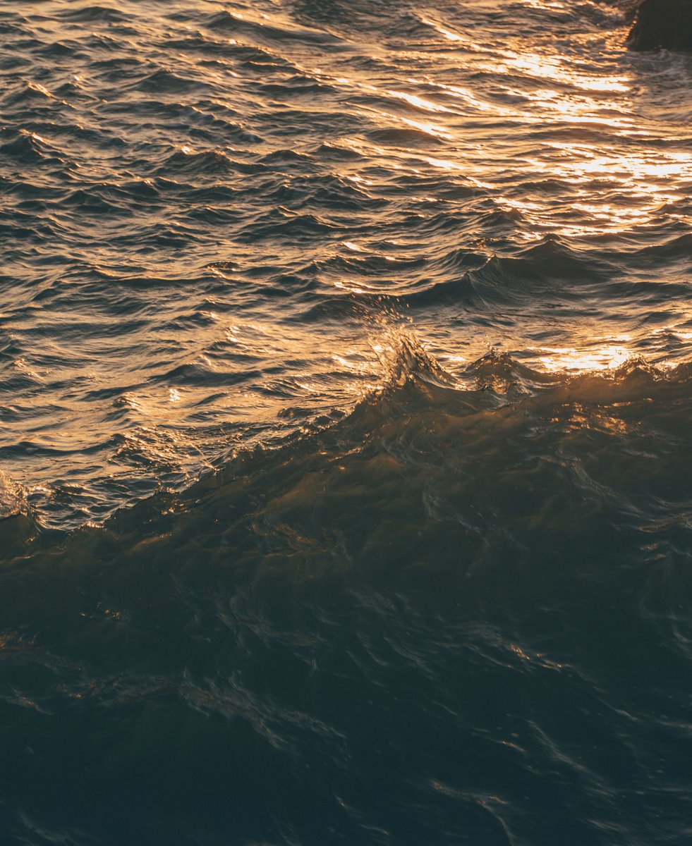 🌊✨
