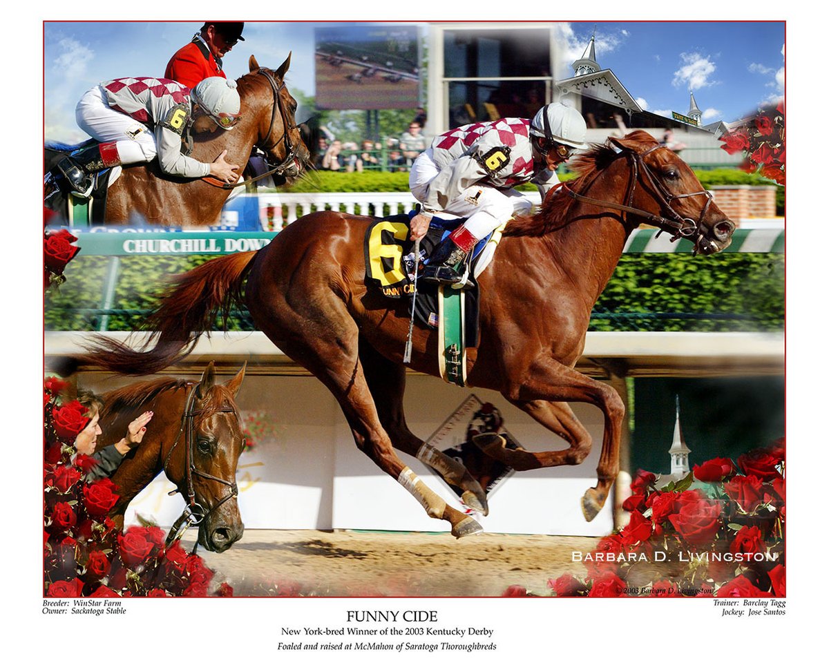 Barbara D. Livingston (@drflivingston) on Twitter photo Fan favorite FUNNY CIDE captured the roses, and our hearts, with his win in the 2003 Kentucky Derby.
<a href="/nytbreeders/">NYTB</a> <a href="/sackatogastable/">Sackatoga Stable LLC</a> <a href="/DailyRacingForm/">Daily Racing Form</a> Fan favorite FUNNY CIDE captured the roses, and our hearts, with his win in the 2003 Kentucky Derby.
<a href="/nytbreeders/">NYTB</a> <a href="/sackatogastable/">Sackatoga Stable LLC</a> <a href="/DailyRacingForm/">Daily Racing Form</a>