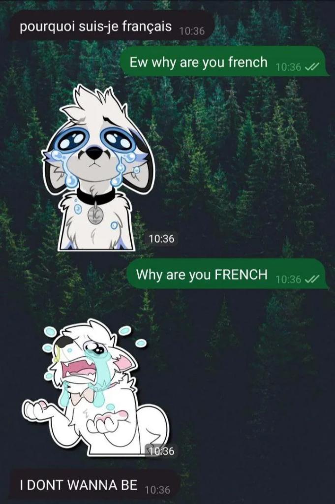 Furry memes (@furrymems) on Twitter photo 