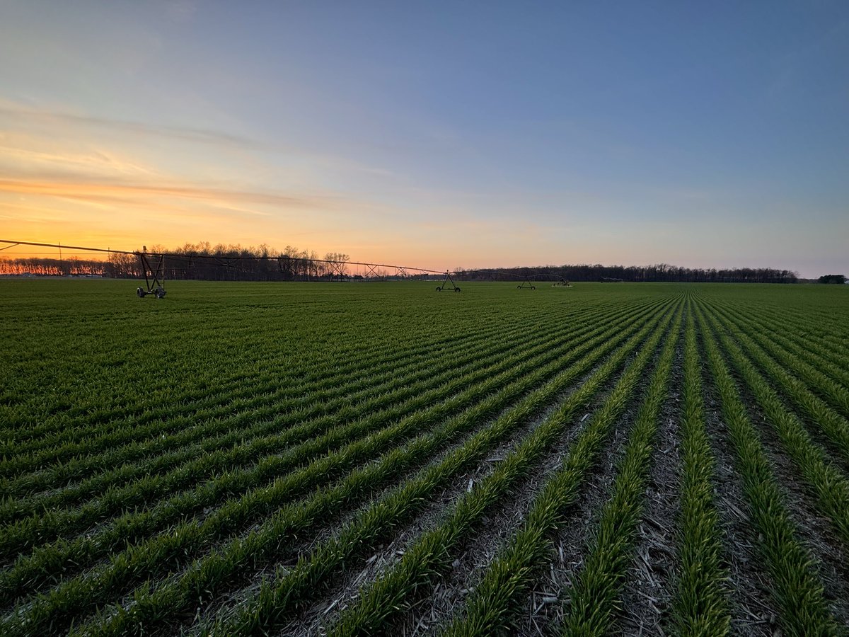 Kyle Morrow tweet media