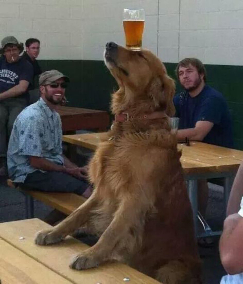 ZACKRAY IS GOING???

i need bro to lock in 🙏