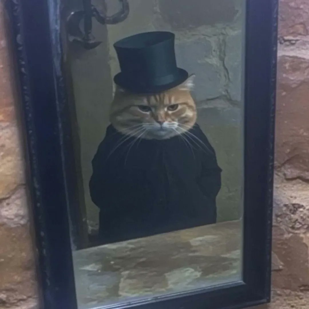 A fine gentleman