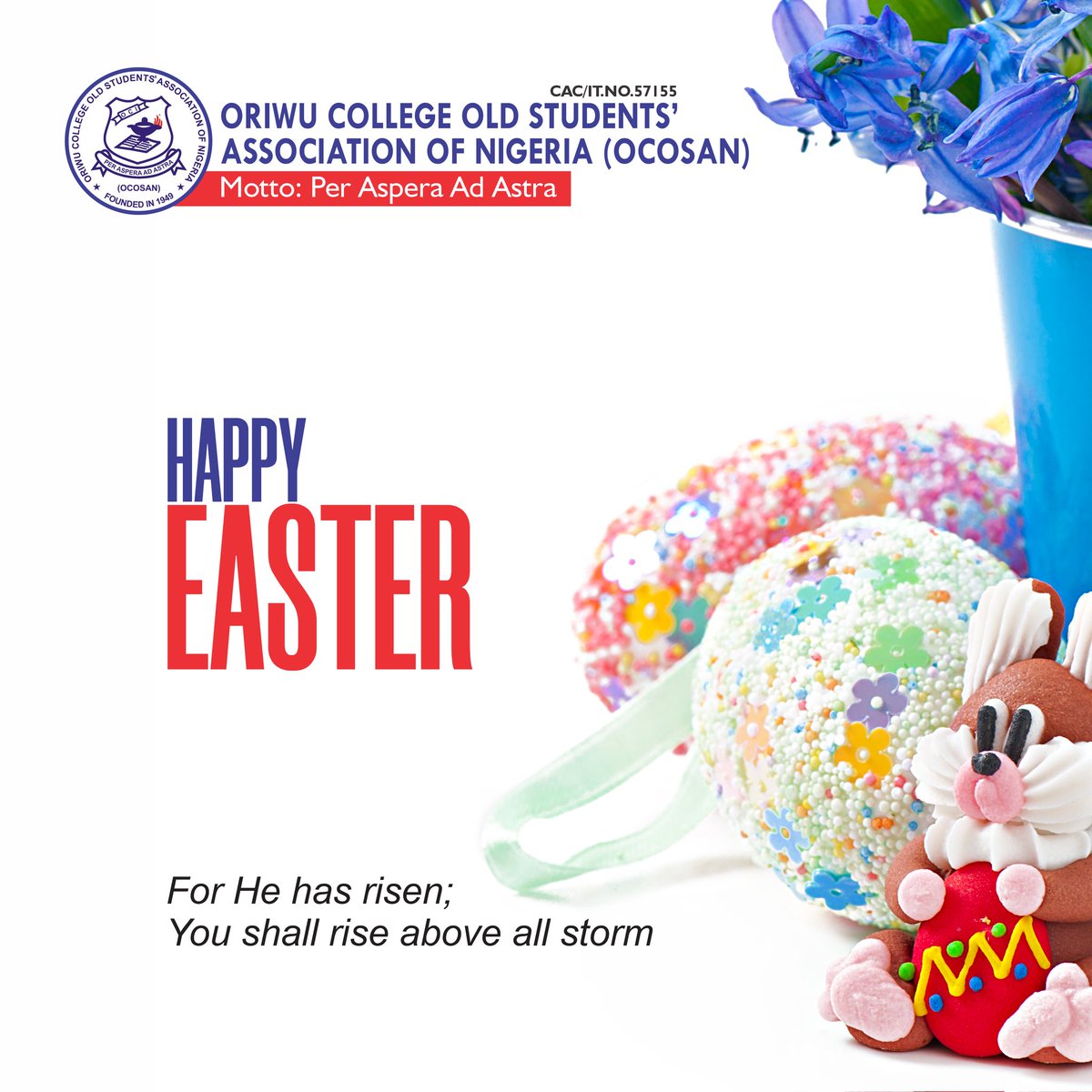 WAdeyeri's tweet photo. How did your Easter holiday go? Mine went like this:

#liveofadesigner #HappyEaster https://t.co/eZyEv74GzH
