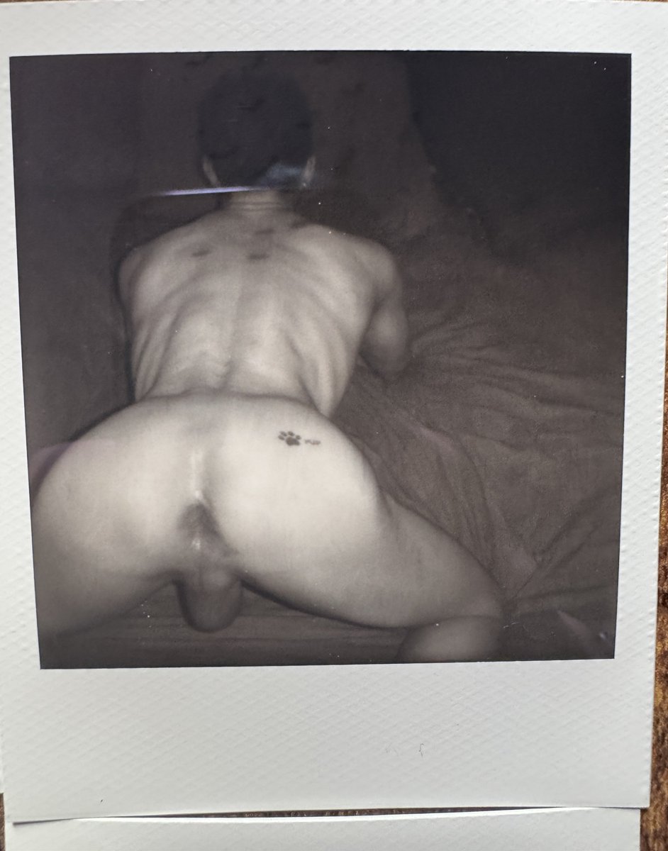 Gizmo (@pupgizmo4) on Twitter photo <a href="/PupperScamp/">PupperScamp</a> has developed a hobby for Polaroids and made me pose. Some more naughty ones to come… <a href="/PupperScamp/">PupperScamp</a> has developed a hobby for Polaroids and made me pose. Some more naughty ones to come…