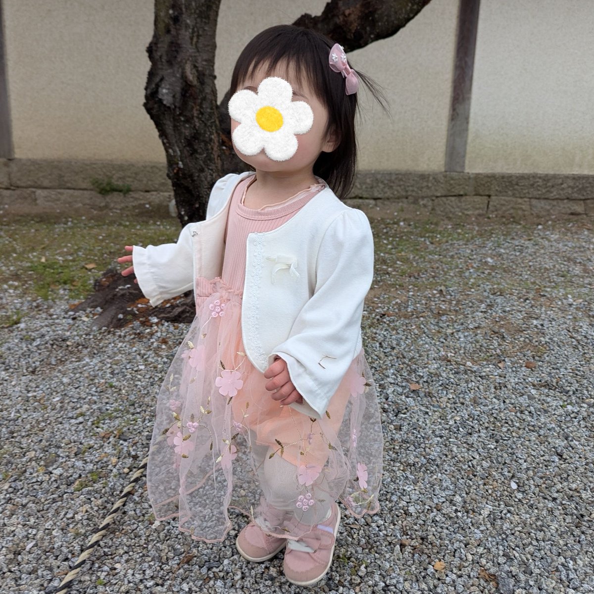 🌼おはねこ🌼
育休が終わり仕事復帰しました😊控えめにいって楽しすぎ。２年以上のブランクがあるにもかかわらず歓迎してくれた上司と同僚。急なお迎えに対応できるよう配慮しつつ「ねこさんの人間力、行動力は頼りにしてるよ」と声をかけてくれた上司には感謝と尊敬しかない。これからがんばろう！