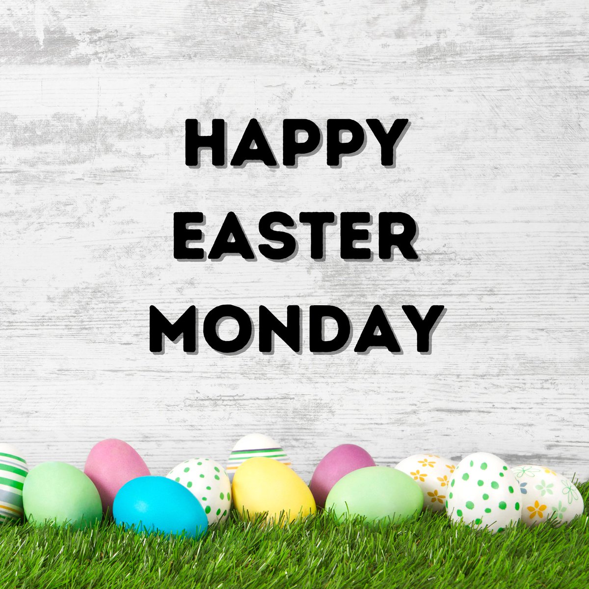 HatchingTime's tweet image. Happy Easter from  the team here at HatchingTime! We hope everyone has a safe and joyous Holiday!

#HatchingTime #Easter #Chicks