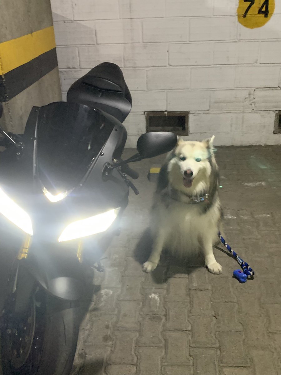 decriptd tweet media