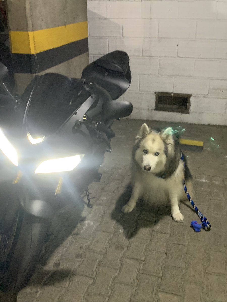 decriptd tweet media