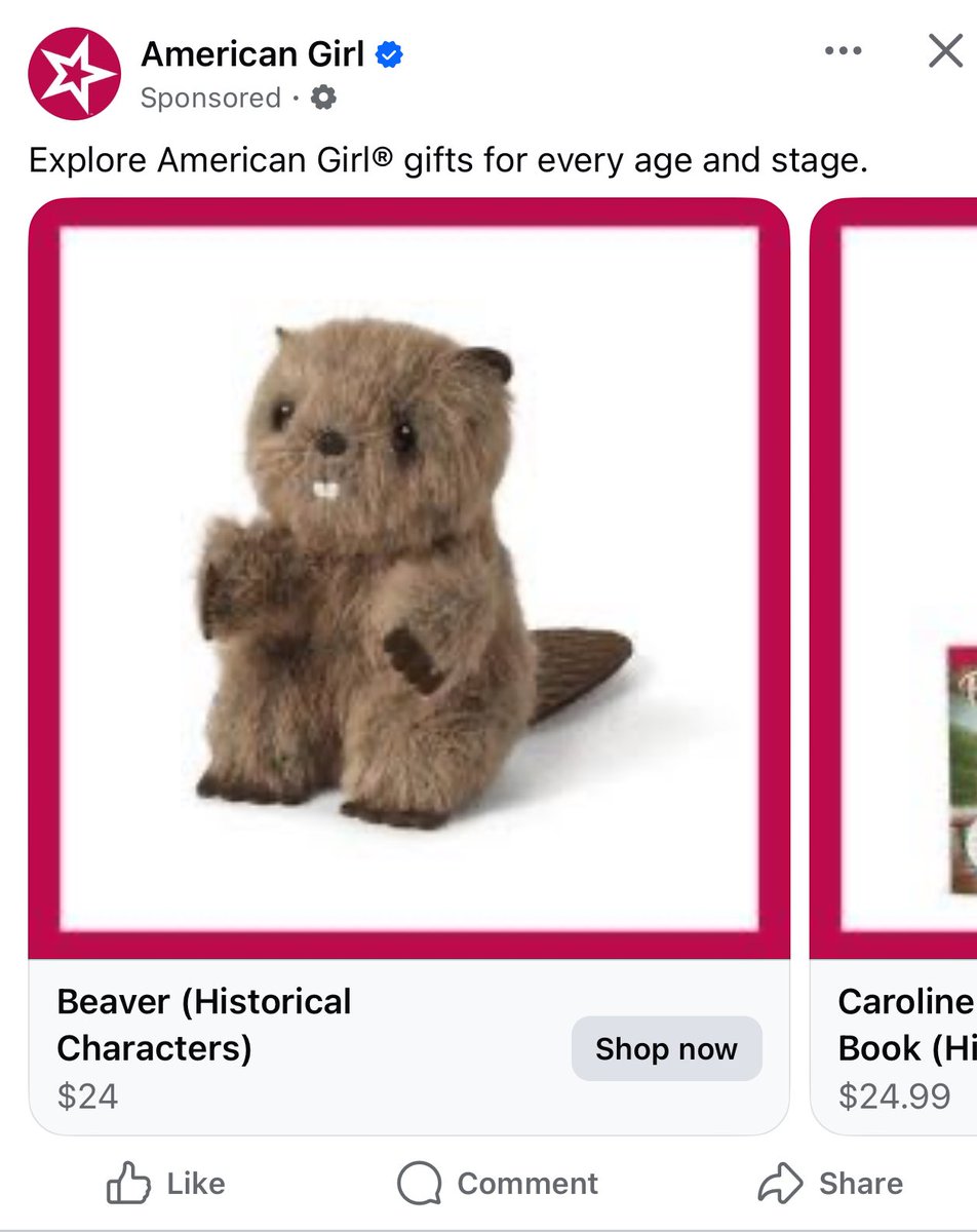 What do you think the beaver’s historical story is? My guess is Vietnam