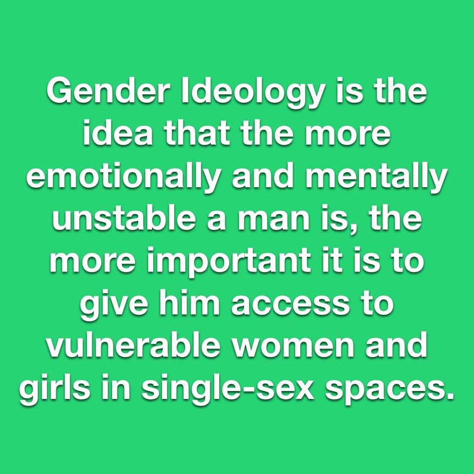 TortieCats 😺 💚🤍💜 tweet media