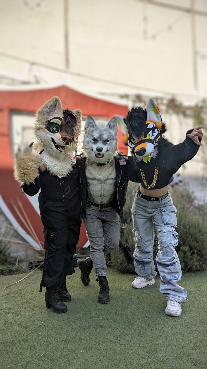 Gado 🐺✨ (@suited_canine) on Twitter photo Con las talentosisimas <a href="/ShiraTekzer/">✖️stripedwolf!🏝️✖️</a> y <a href="/GyanNightwolf/">Gyan Tlapetlani🌱</a>
Fue todo un placer platicar aunque sea un ratito con ustedes 🩶 Con las talentosisimas <a href="/ShiraTekzer/">✖️stripedwolf!🏝️✖️</a> y <a href="/GyanNightwolf/">Gyan Tlapetlani🌱</a>
Fue todo un placer platicar aunque sea un ratito con ustedes 🩶