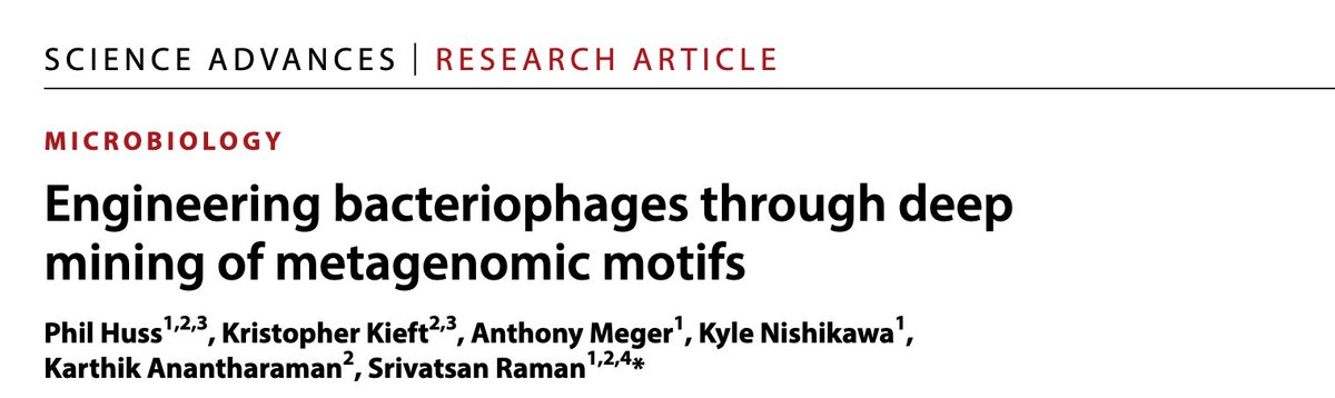 vatsanraman's tweet image. Phage metagenomes are an untapped trove of functional sequences, but rapid sequence divergence limits traditional search tools. We developed Meta-SIFT, an experiment-guided method to mine functional motifs. Using these, we engineered phages with tailored host range, enhanced…