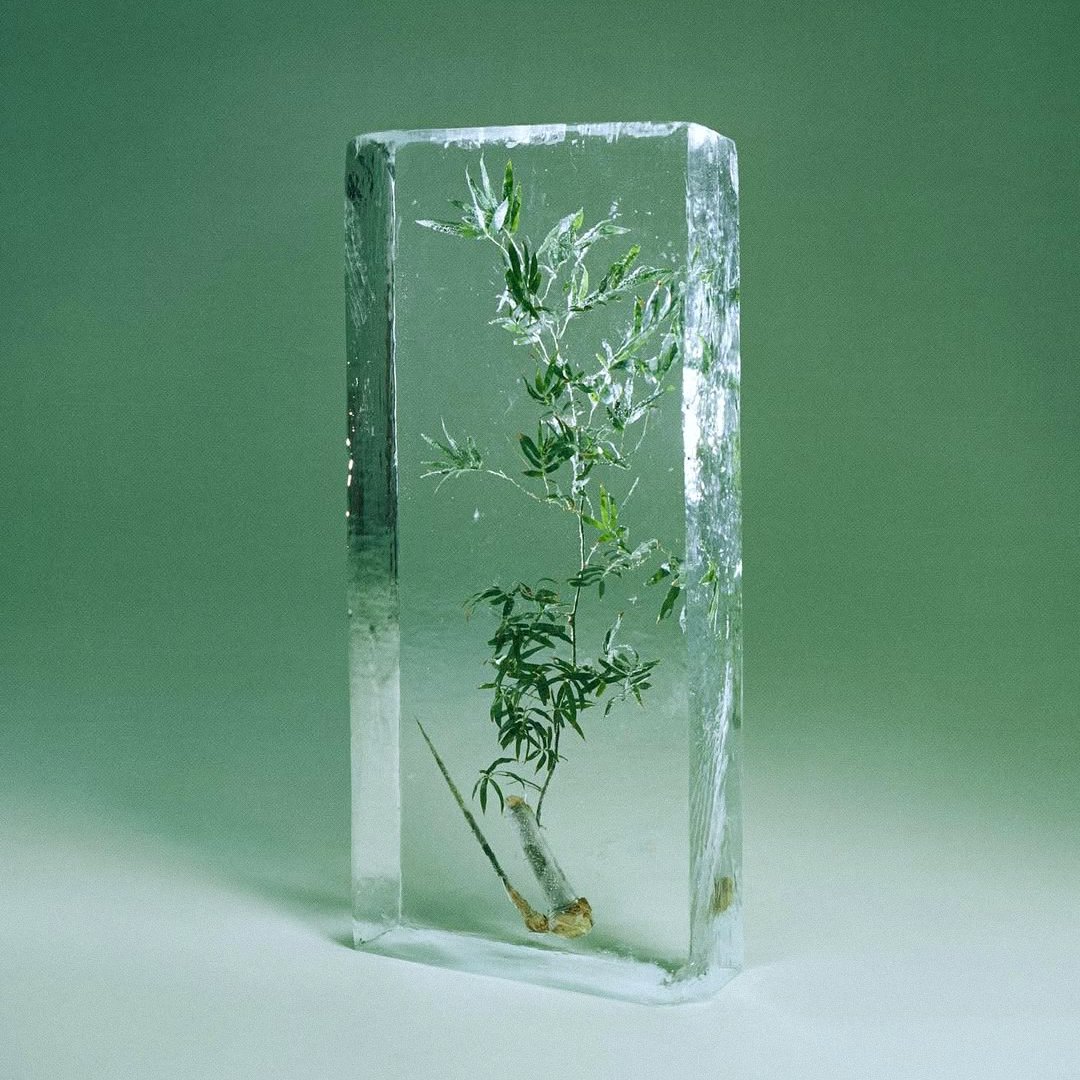 "FROZEN" Vogue China, Leslie Zhang (2022)