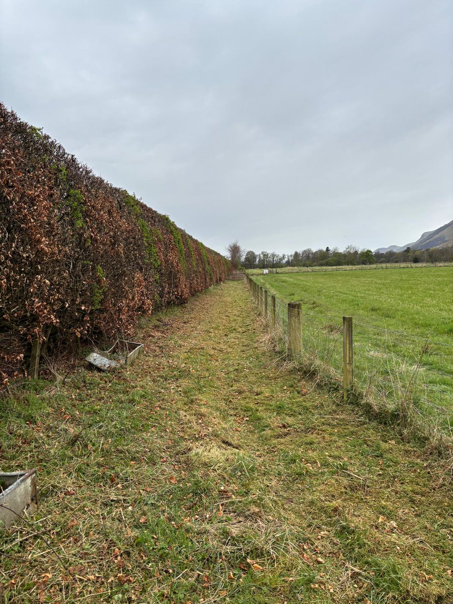 TCV Scotland tweet media