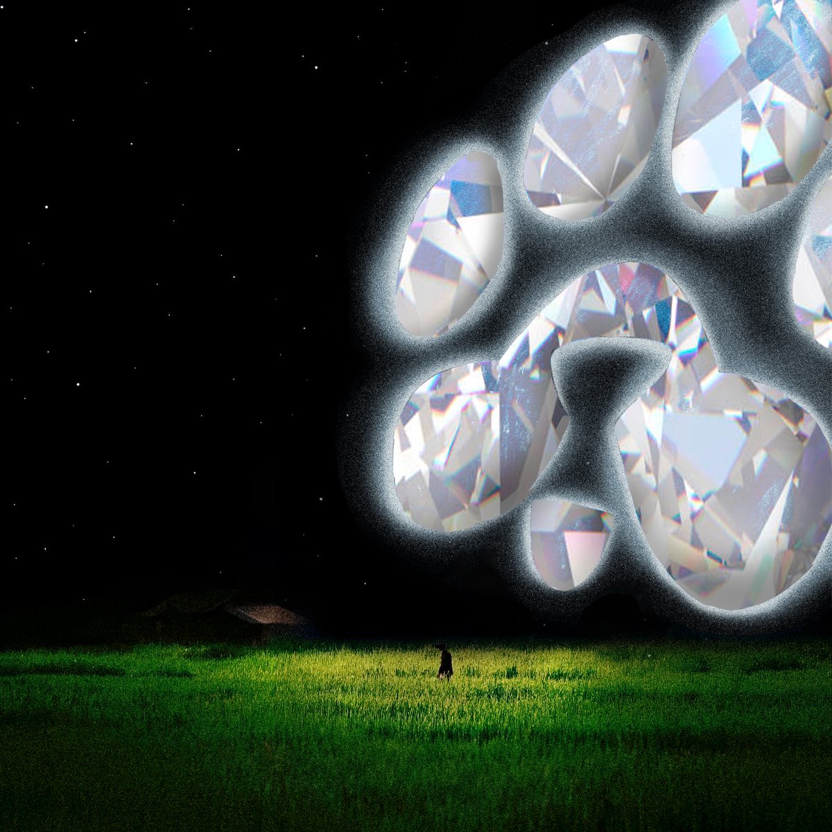 PAWS Labs tweet media