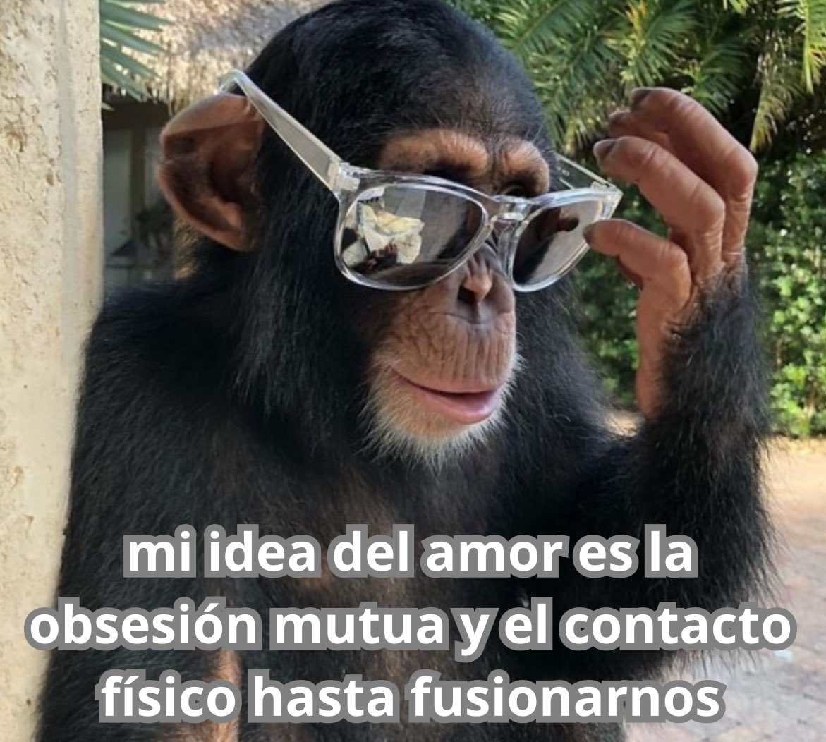 emociones amarillas tweet media