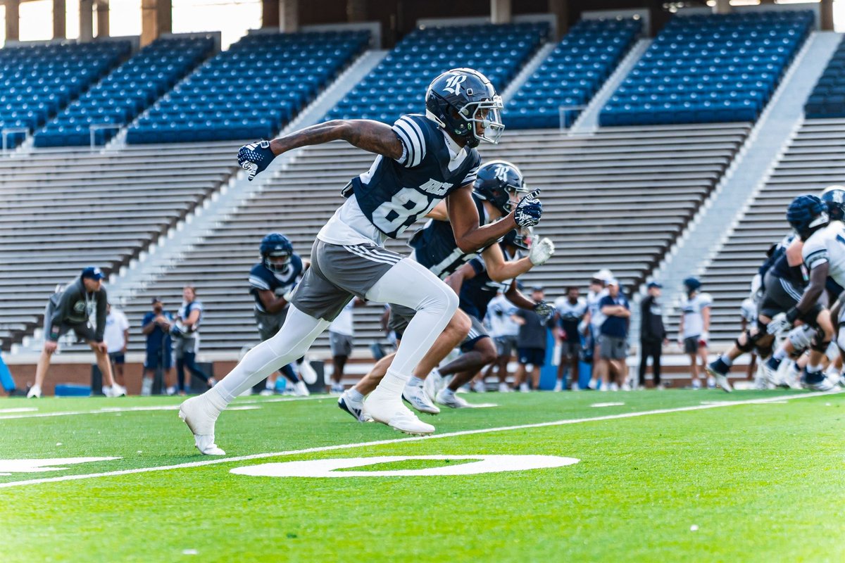 justinw2023's tweet image. Spring #2 🦉🤧