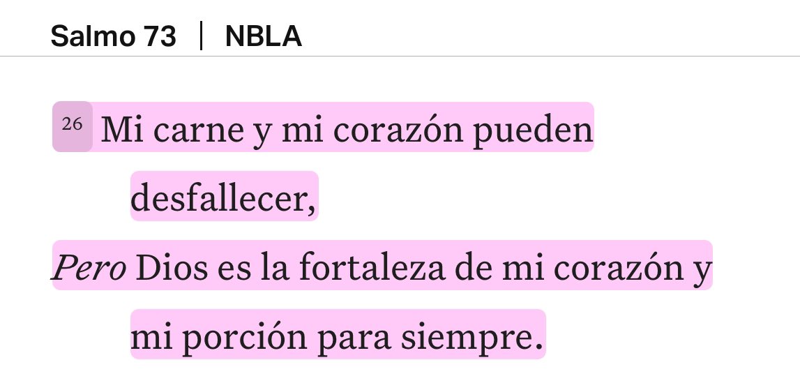 Josie Selah 🕊 (@josieselah) on Twitter photo 