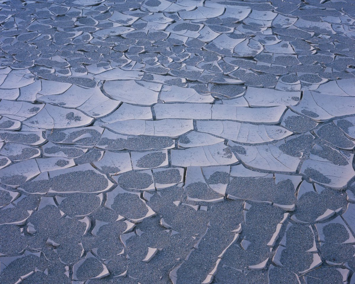 Ben Horne tweet media