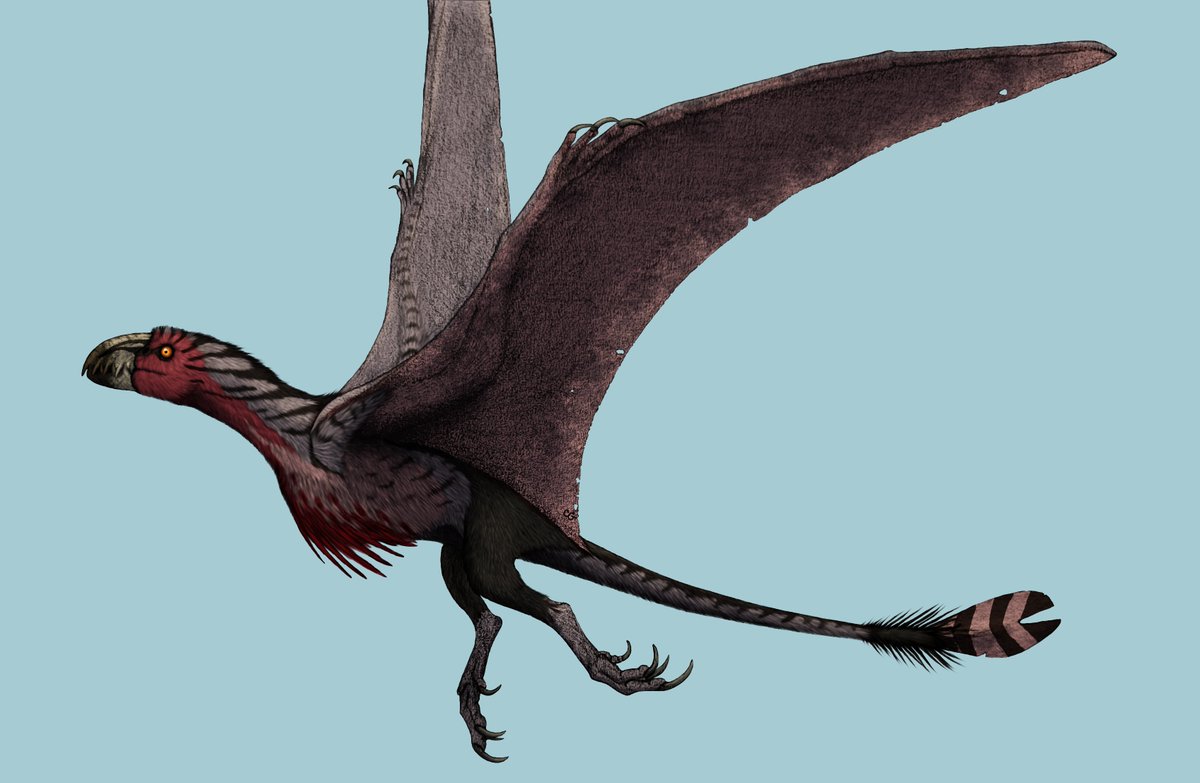 Since other people are doing it, I'll join in... Give me a Monster Hunter monster(small ones included) and I'll give my opinion on them!
Have my new Baunos art as an attention grabber... #MonsterHunter