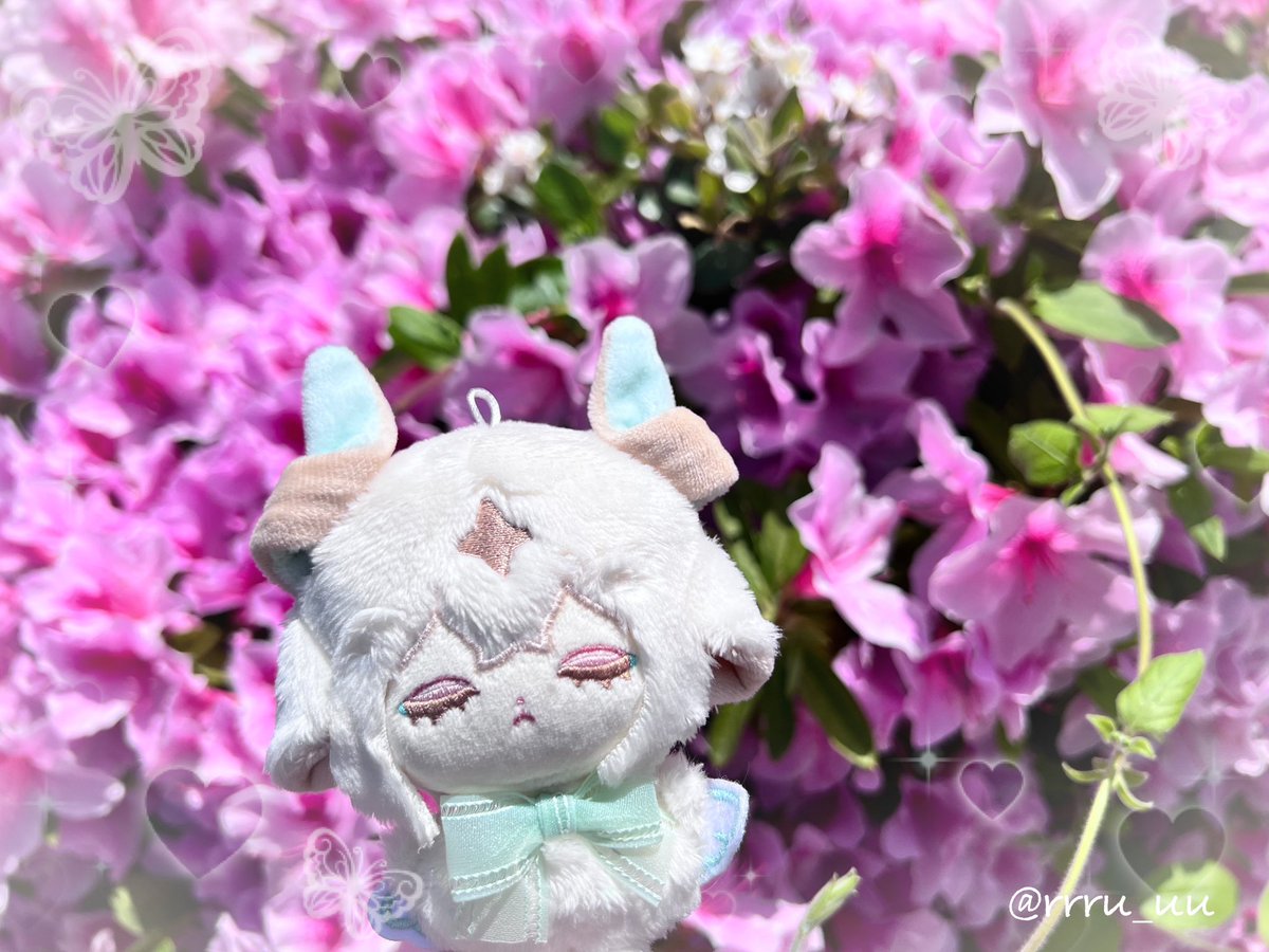 るるる♡ tweet media