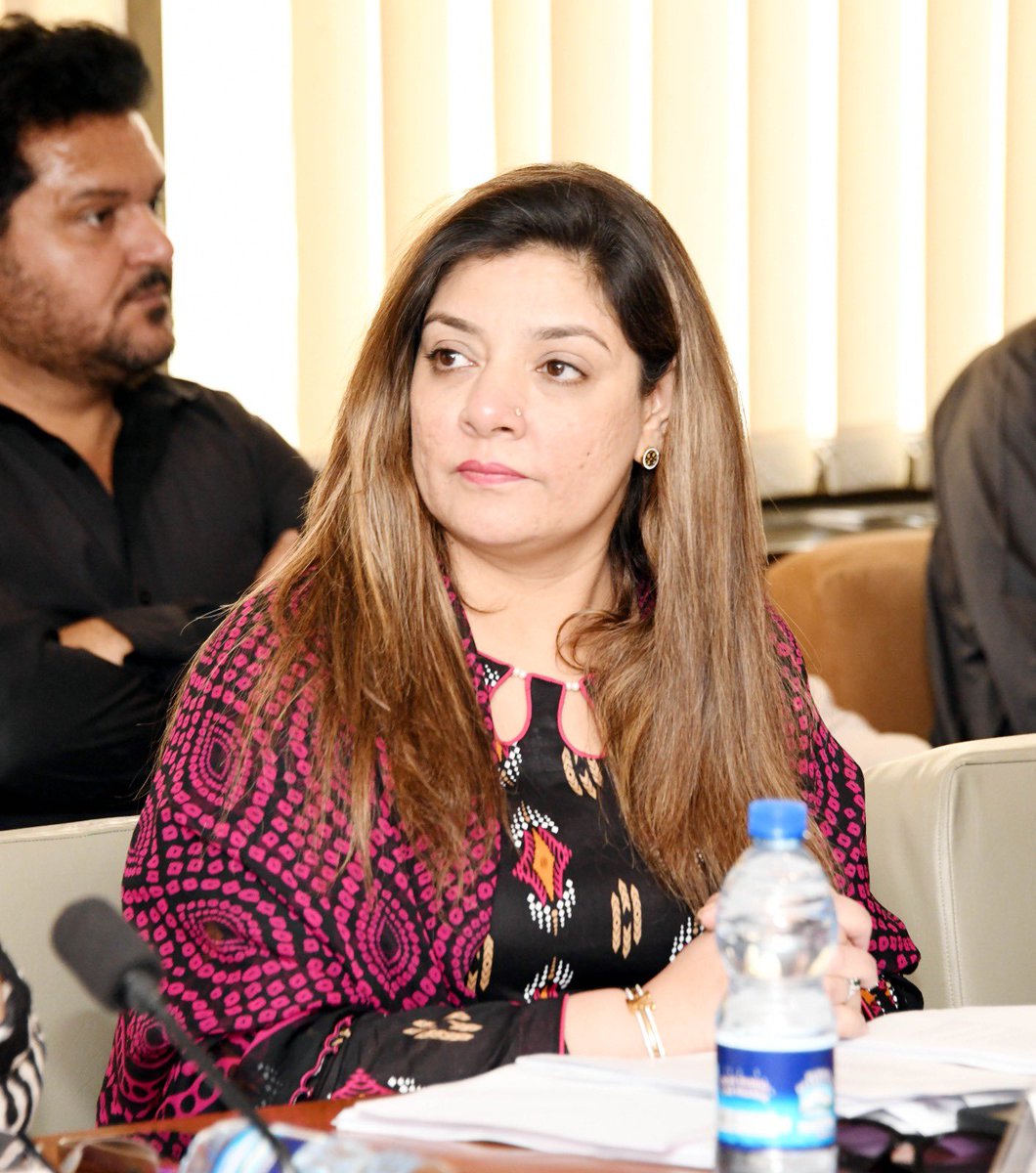sabheenghoury's tweet photo. Meeting of the SC on NHSR&amp;C was held in Parliament House, Islamabad.#Health #MQMPakistan @allaboutmqm @NAofPakistan https://t.co/4E3JjNYPkv