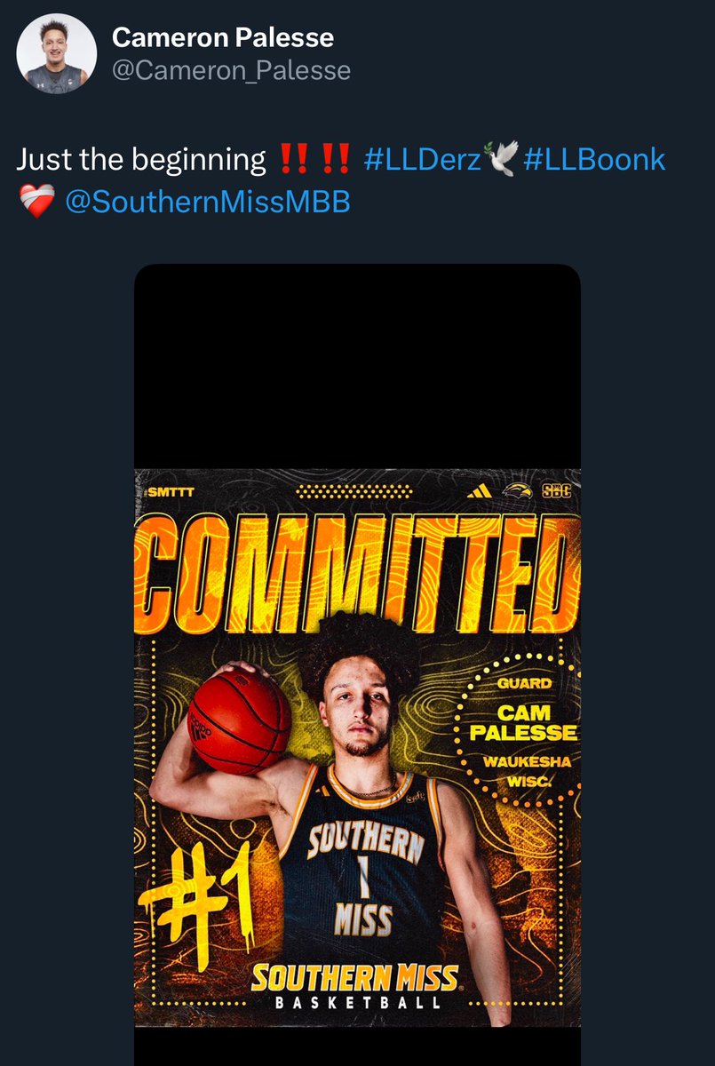BREAKING: Canisius transfer Cam Palesse has committed to Southern Miss, per his twitter/X

The 6’5” Redshirt Sophomore averaged 6.6 points and 5 rebounds this season