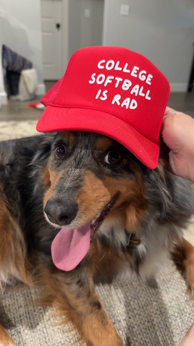 Jordan Smith (@jordysmith_8) on Twitter photo Got my hat and koozies today!!!! Baby Tex should think college softball is rad since he’s named after a softball player 😂 thanks <a href="/bigdonkey47/">Stephen Schoch</a>!!! Got my hat and koozies today!!!! Baby Tex should think college softball is rad since he’s named after a softball player 😂 thanks <a href="/bigdonkey47/">Stephen Schoch</a>!!!