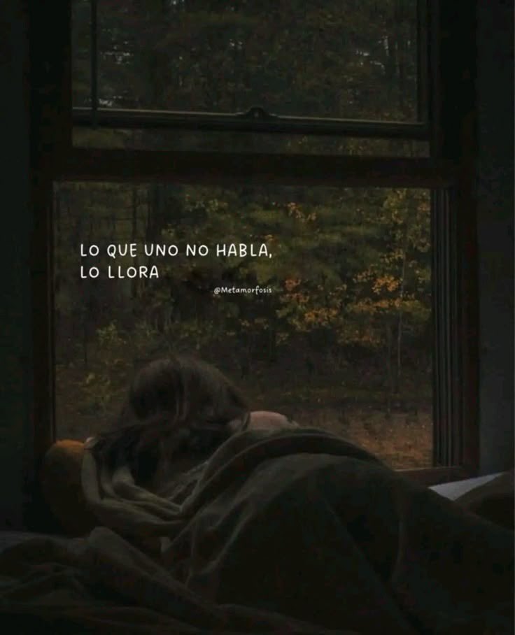 itextosoff's tweet image. 