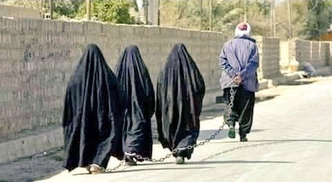 ImtiazMadmood's tweet photo. A kind Afghan husband takes his three wives for a walk every day. He cares for their health. https://t.co/cBQmMPB5zY
