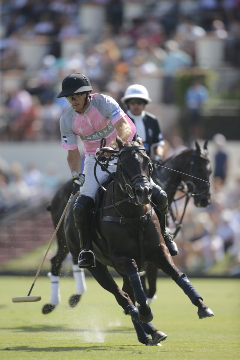 natpolocenter's tweet photo. 𝗧𝗵𝗲 𝘃𝗶𝗲𝘄? 𝙎𝙩𝙪𝙣𝙣𝙞𝙣𝙜. 𝗧𝗵𝗲 𝗰𝗿𝗼𝘄𝗱? 𝙐𝙣𝙢𝙖𝙩𝙘𝙝𝙚𝙙. 𝗧𝗵𝗲 𝗳𝗶𝗻𝗮𝗹? 𝙀𝙡𝙚𝙘𝙩𝙧𝙞𝙘! 

 📸Snapshots from an unforgettable U.S. Open Polo Championship Final.

#USPALive #GauntletOfPolo #USOpenPolo #USPAPoloPlayer #HighGoal #NationalPoloCenter https://t.co/iBY3eY46yU