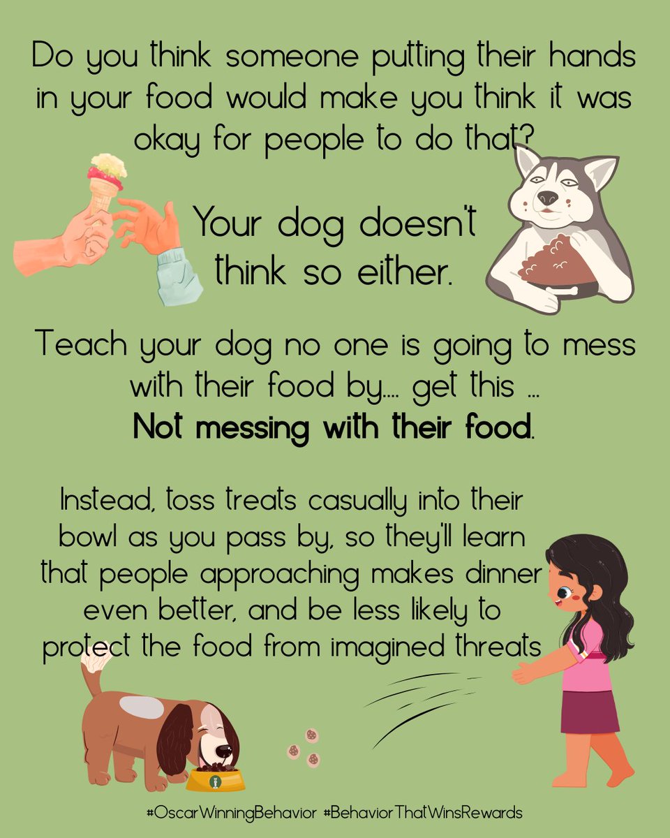 OscarWinning's tweet image. What if we could teach them there was no risk of their food being taken or messed with, and in fact, if I came over to check on them while they were eating, things would get *better*?

#OscarWinningBehavior #ResourceGuarding #FoodSafety #DogLove