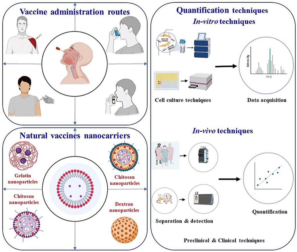 Keshav Raj Paudel (@drkeshavrajpau1) on Twitter photo Review article
Exploring Natural Components in Vaccine Delivery Systems: Types, Routes of Administration, In-vitro and In-vivo Quantification Techniques
Journal of Drug Delivery Science and Technology, 2025, 106960
<a href="/CentenaryInst/">Centenary Institute</a> <a href="/UTSResearch/">UTS Research</a> <a href="/UTSEngage/">UTS</a>
sciencedirect.com/science/articl… Review article
Exploring Natural Components in Vaccine Delivery Systems: Types, Routes of Administration, In-vitro and In-vivo Quantification Techniques
Journal of Drug Delivery Science and Technology, 2025, 106960
<a href="/CentenaryInst/">Centenary Institute</a> <a href="/UTSResearch/">UTS Research</a> <a href="/UTSEngage/">UTS</a>
sciencedirect.com/science/articl…