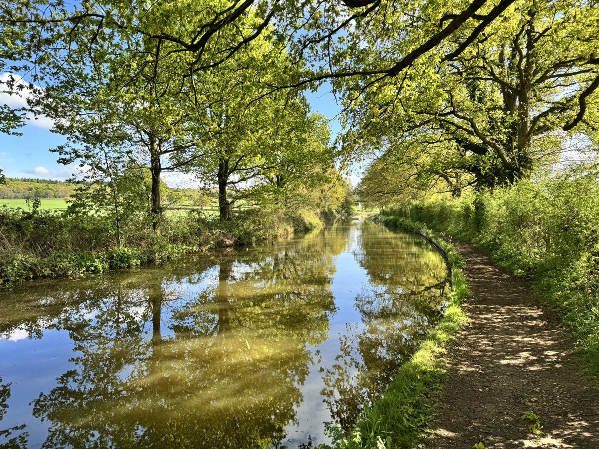 Damien Walmsley (@dammo) on Twitter photo Canal reflections
<a href="/CanalRiverTrust/">Canal & River Trust</a> <a href="/CRTWestMidlands/">Canal & River Trust West Midlands</a> <a href="/CRTBoating/">Canal & River Trust Boating</a>
#woottonwarren #stratfordcanal #visitengland Canal reflections
<a href="/CanalRiverTrust/">Canal & River Trust</a> <a href="/CRTWestMidlands/">Canal & River Trust West Midlands</a> <a href="/CRTBoating/">Canal & River Trust Boating</a>
#woottonwarren #stratfordcanal #visitengland