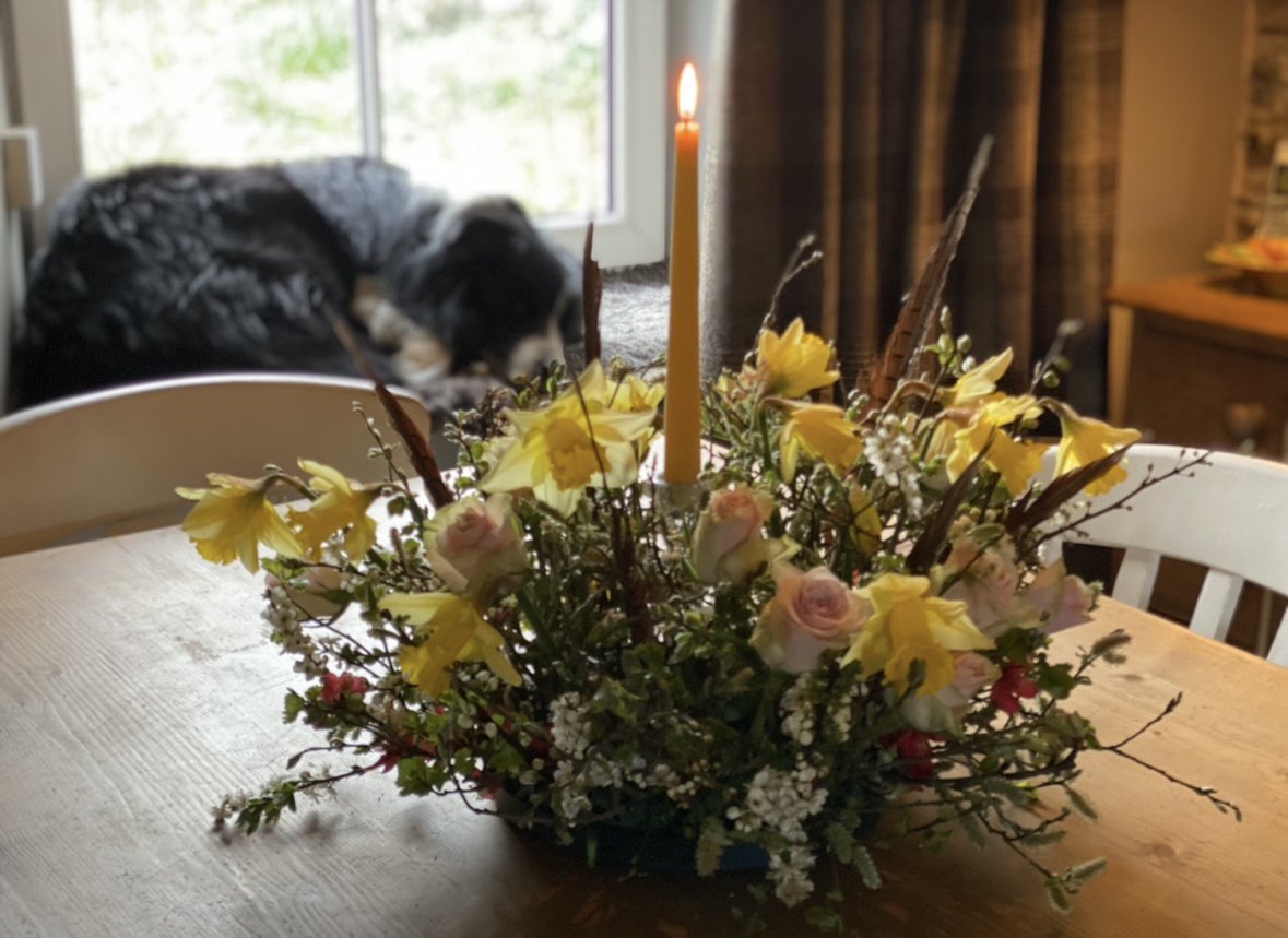 woolismybread's tweet photo. Easter you were busy and beautiful 💛🌼🐝 https://t.co/JNWjuo3Muv