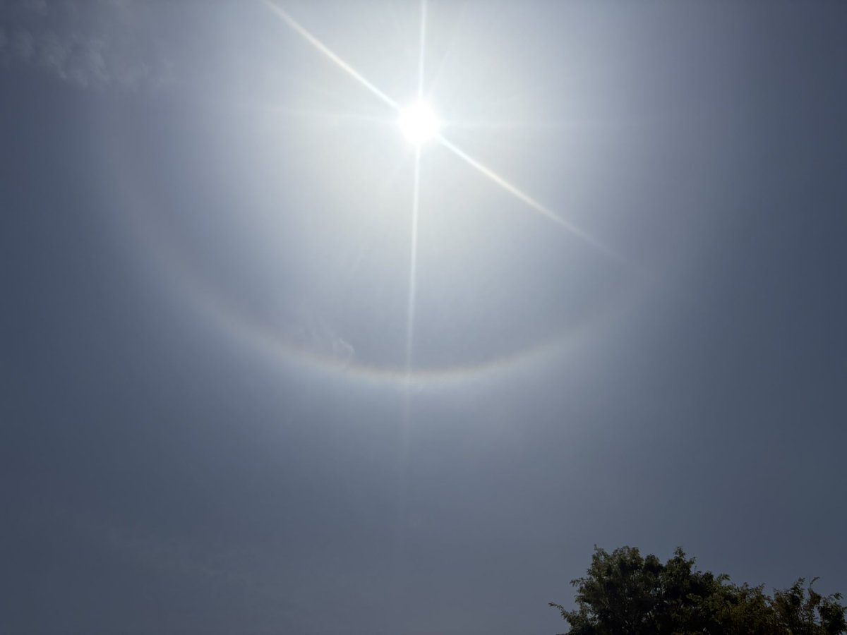 ハロ撮れた！ハロハロ！
暑いな…ハロハロ食べたいな…