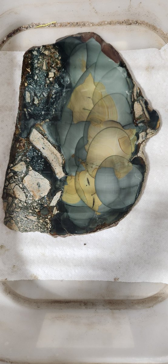 Look at this cool rock