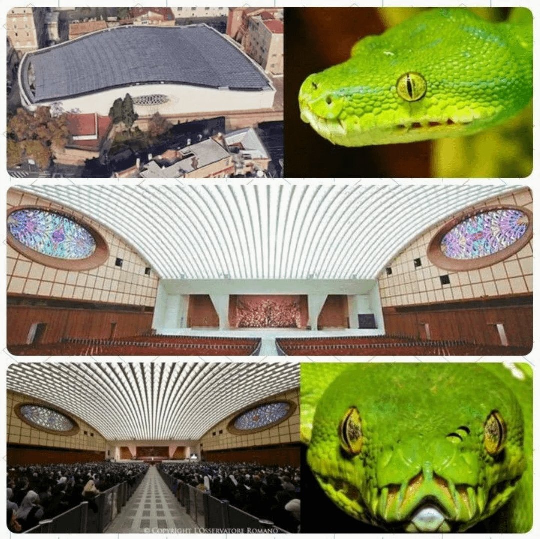 Sledneck907 (@xoffgridalaska) on Twitter photo <a href="/MrsNationalist/">MrsNationalist 🇺🇸💕</a> This is the popes audience hall. Whoever the new pope is, he will sit between these fangs where the serpents tongue would be to address his congregation.
The pope doesn't serve the god everyone thinks he does.
Most Catholics have no clue what their leader ushers them toward. <a href="/MrsNationalist/">MrsNationalist 🇺🇸💕</a> This is the popes audience hall. Whoever the new pope is, he will sit between these fangs where the serpents tongue would be to address his congregation.
The pope doesn't serve the god everyone thinks he does.
Most Catholics have no clue what their leader ushers them toward.
