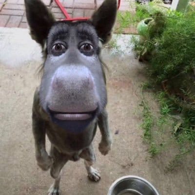 skaa ✪ netflix 1u 46k tweet media